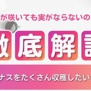 ナスの花が落ちる原因は虫・日照不足